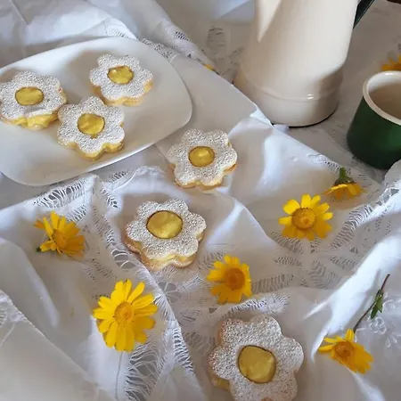 Buongiorno Salento Bed & Breakfast