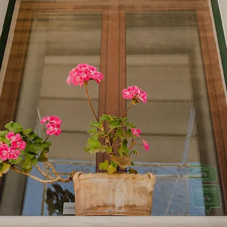 Casa Buongiorno Salento Bed & Breakfast Santa Maria di Leuca